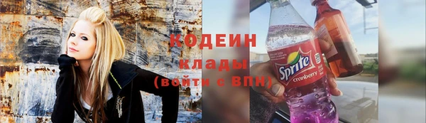гашик Каменка