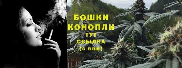 стаф Инсар