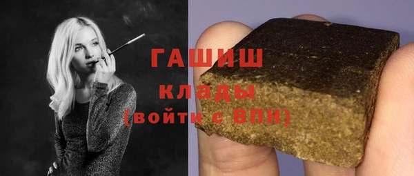 гашик Каменка