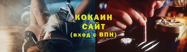 твердый Иннополис