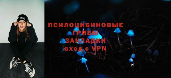 стаф Инсар