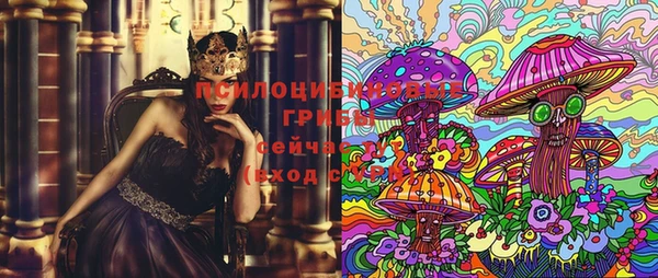 гашик Каменка