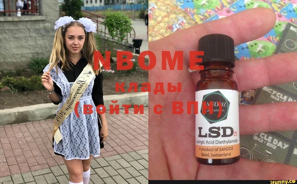 стаф Инсар