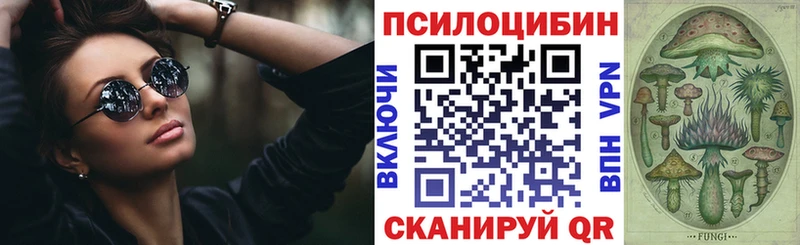 Псилоцибиновые грибы мицелий  Кинель 