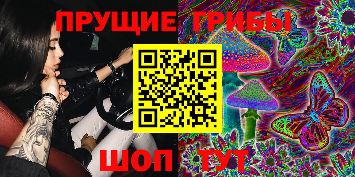 Псилоцибиновые грибы MAGIC MUSHROOMS  Вход с VPN  Кинель 